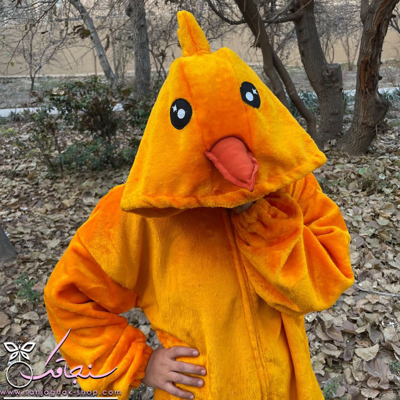 سرهمی جوجه