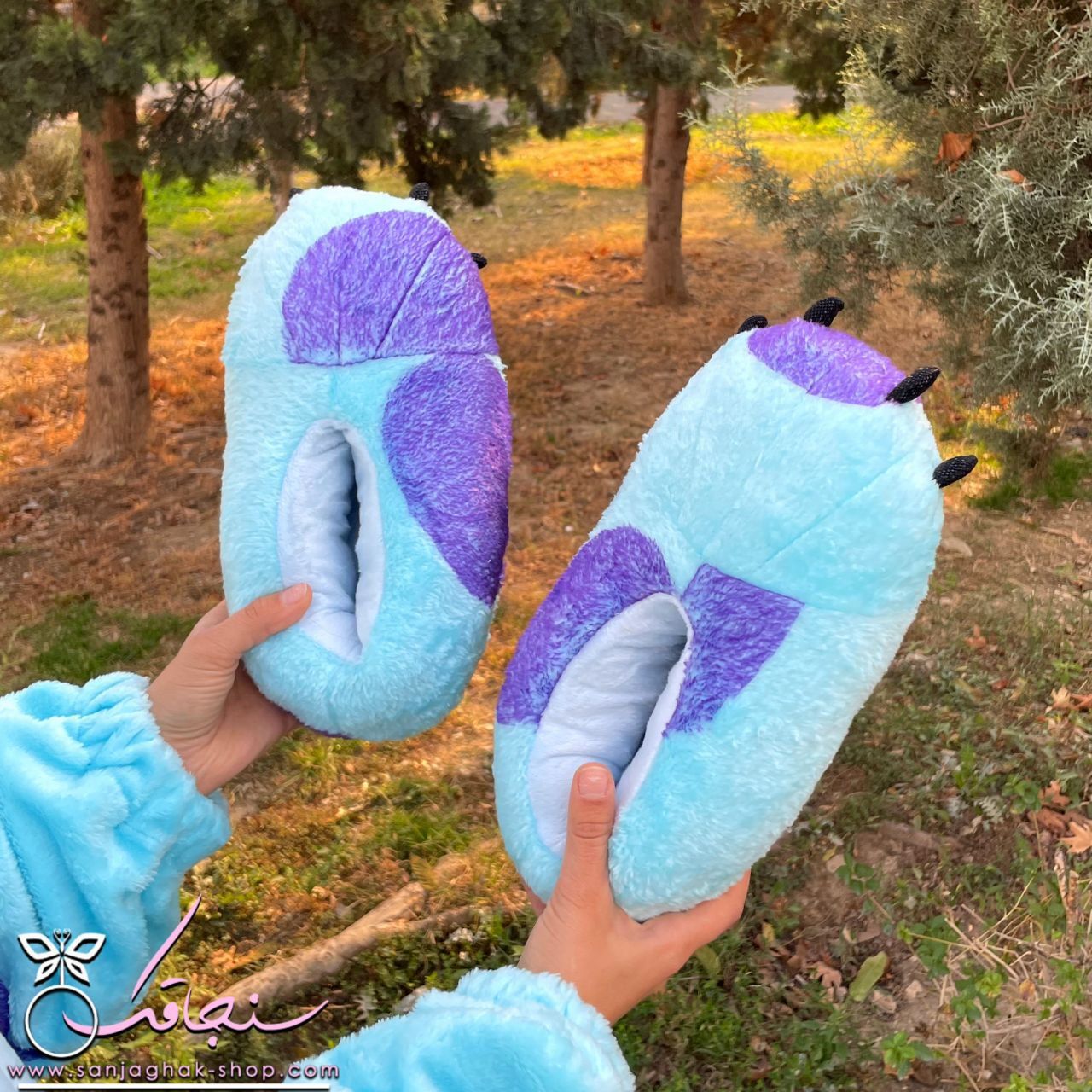 سرهمی و پاپوش سالیوان