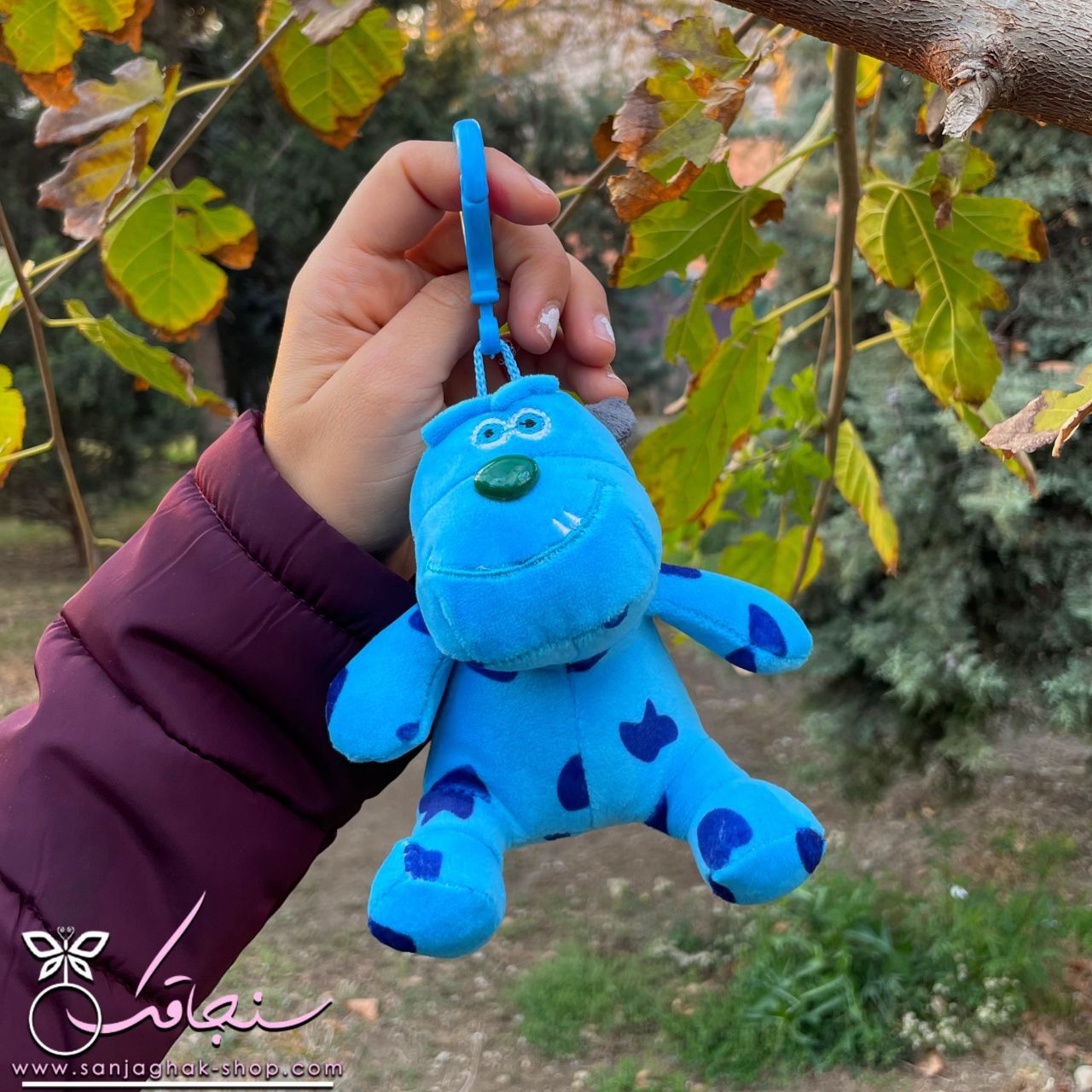 پكيج ساليوان اقتصادی
