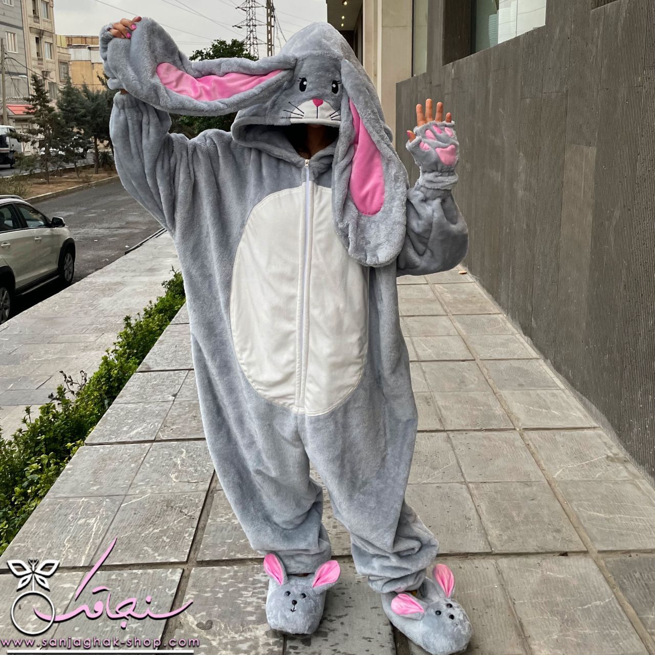 سرهمی خرگوش گوش دراز