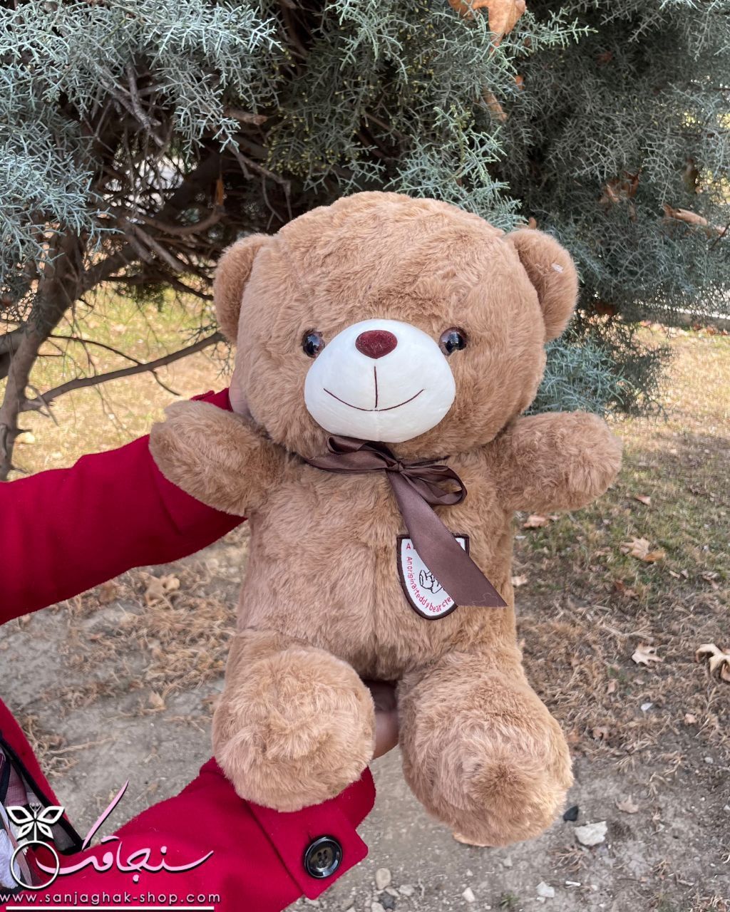 عروسک قهوه ای تدی