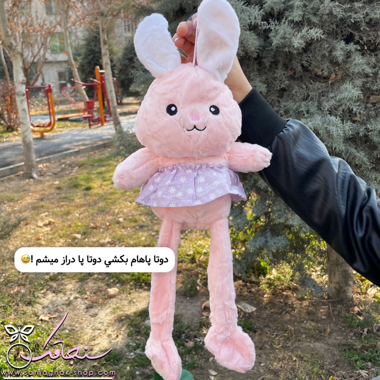 پكيج لاكچری خرگوش گوش دراز