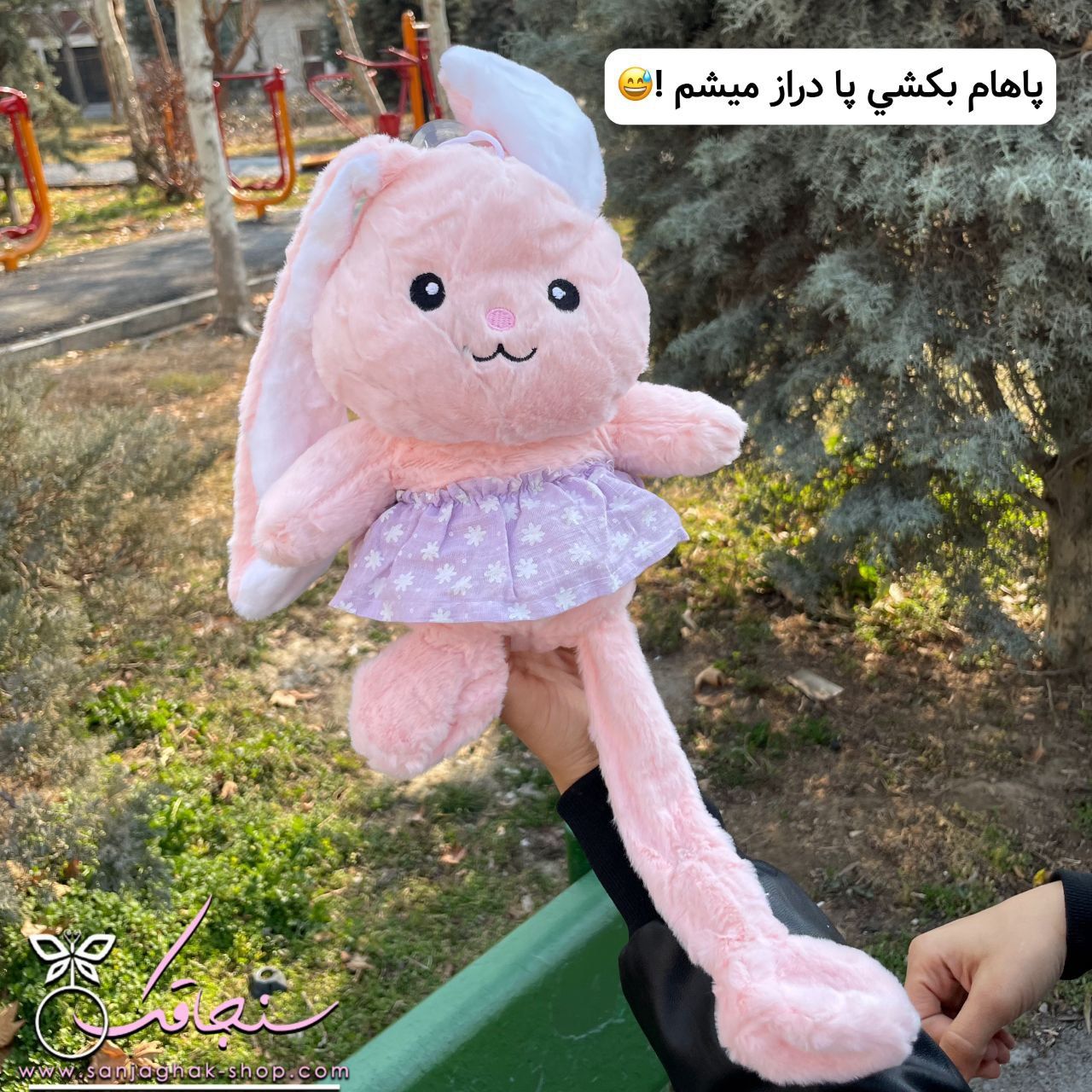 پكيج لاكچری خرگوش گوش دراز