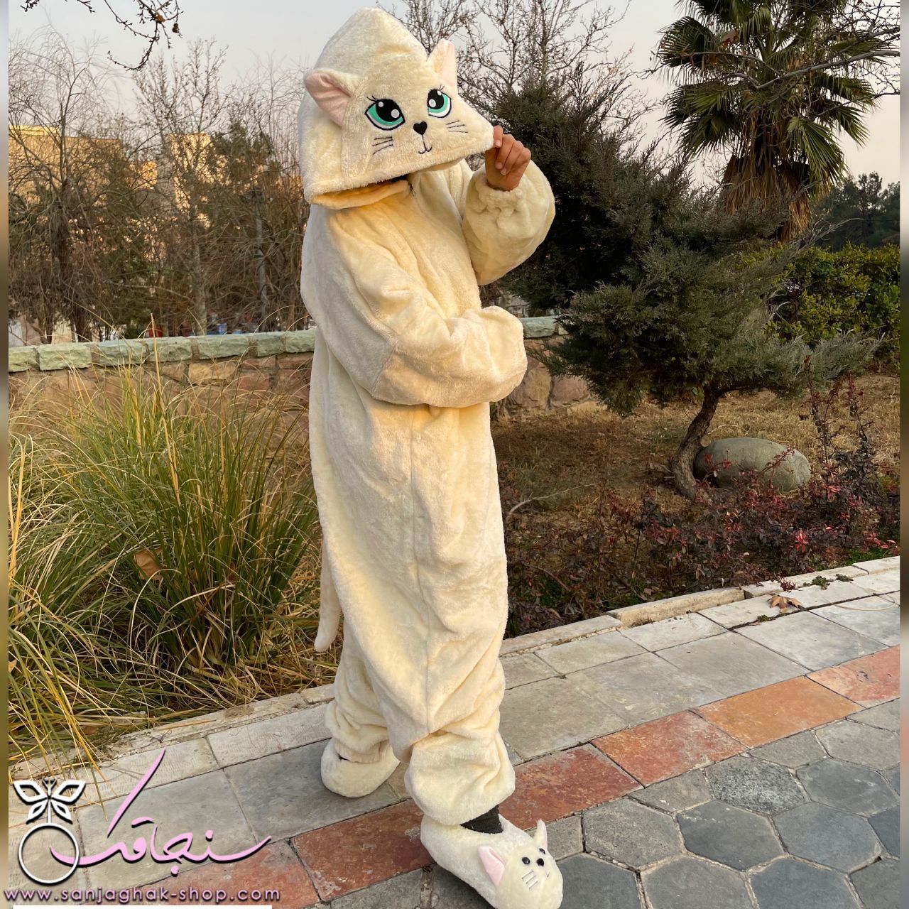سرهمی گربه اشرافی