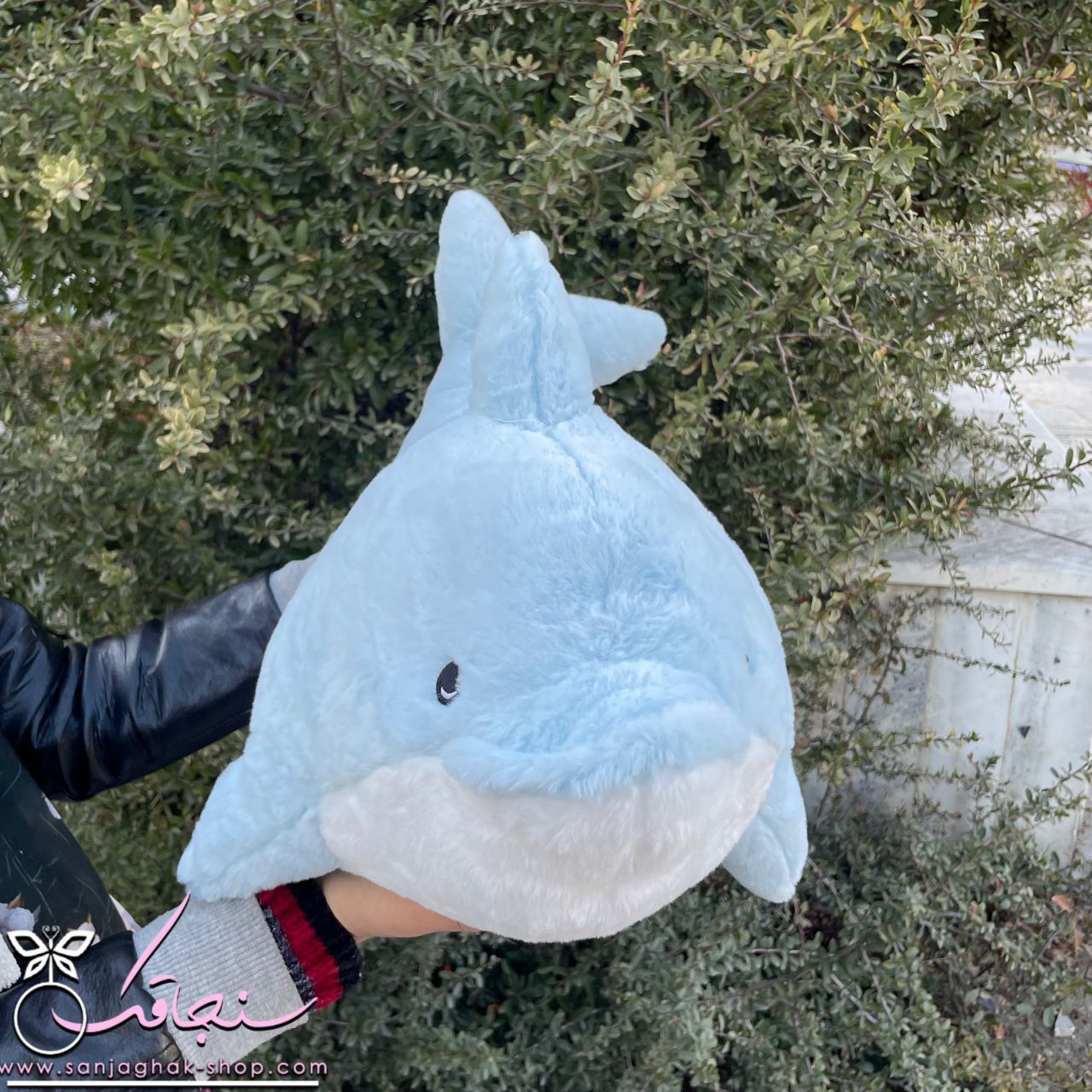 عروسک وال اقيانوسی