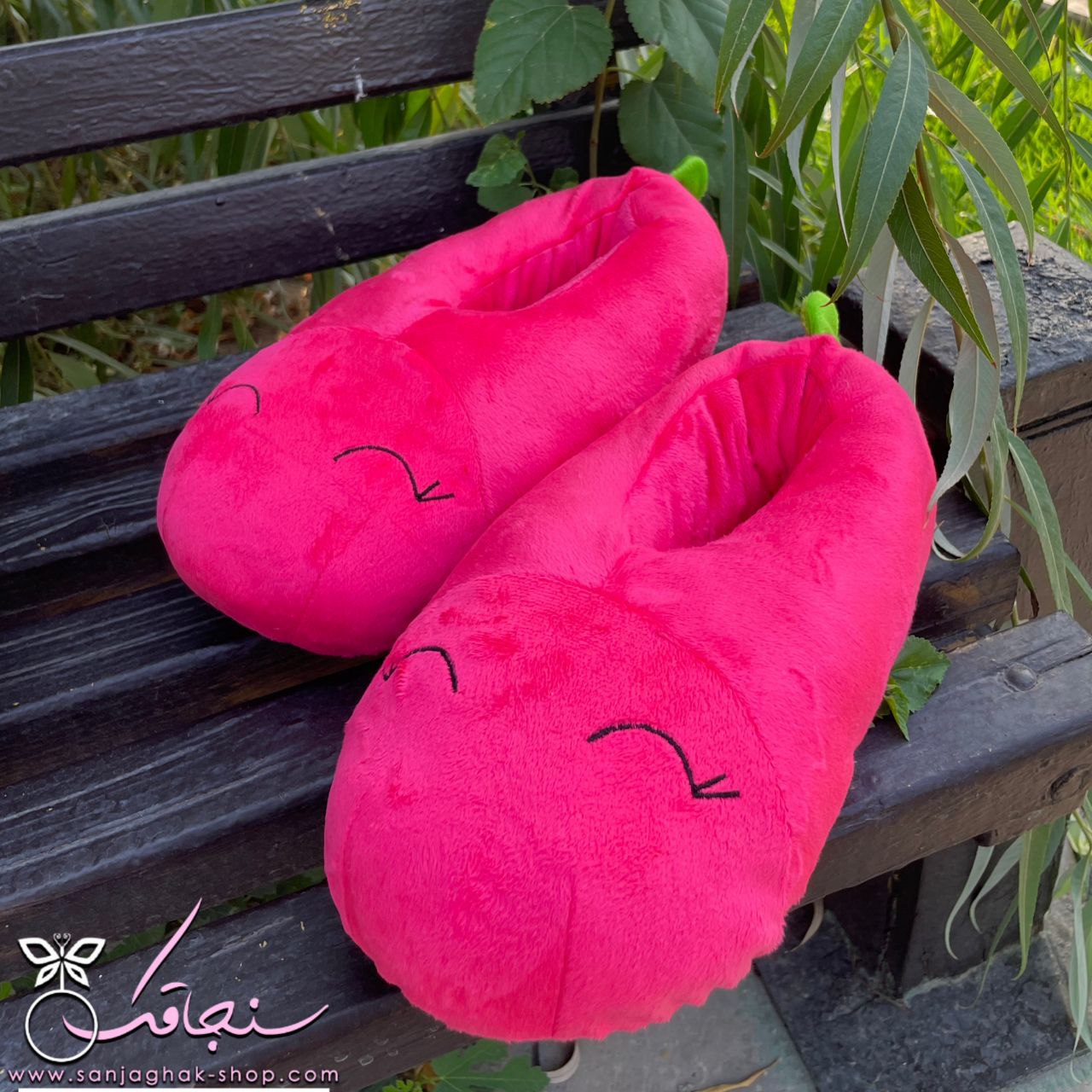 اسليپر( پاپوش) سرنديپيتی