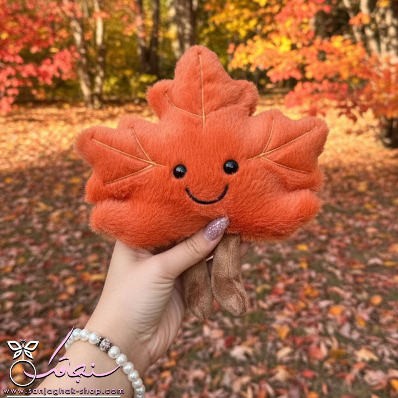 برگ پينترسی پاييز نارنجی