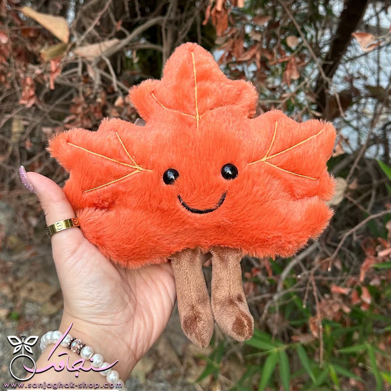 برگ پينترسی پاييز نارنجی