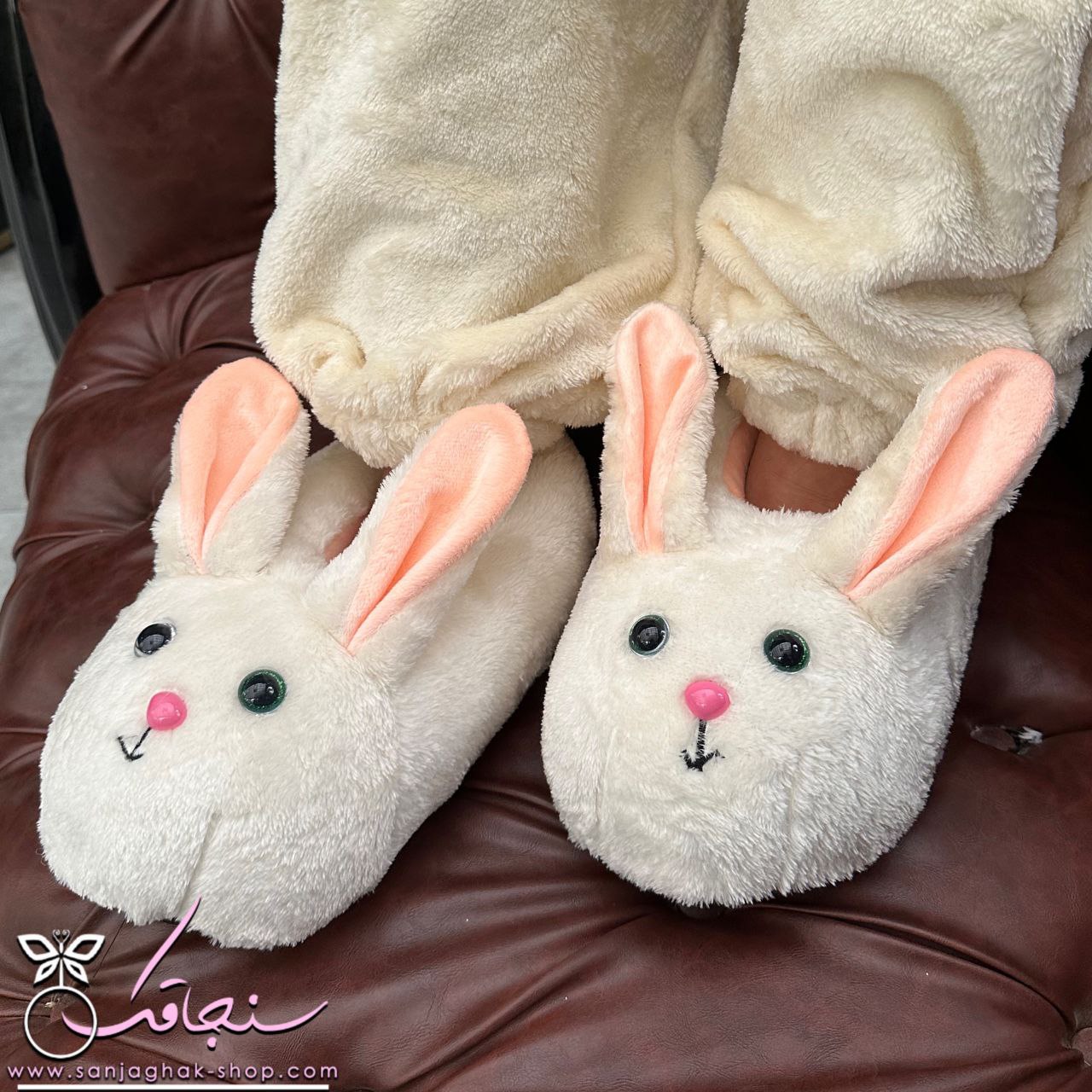 پاپوش خرگوش چشم درشت