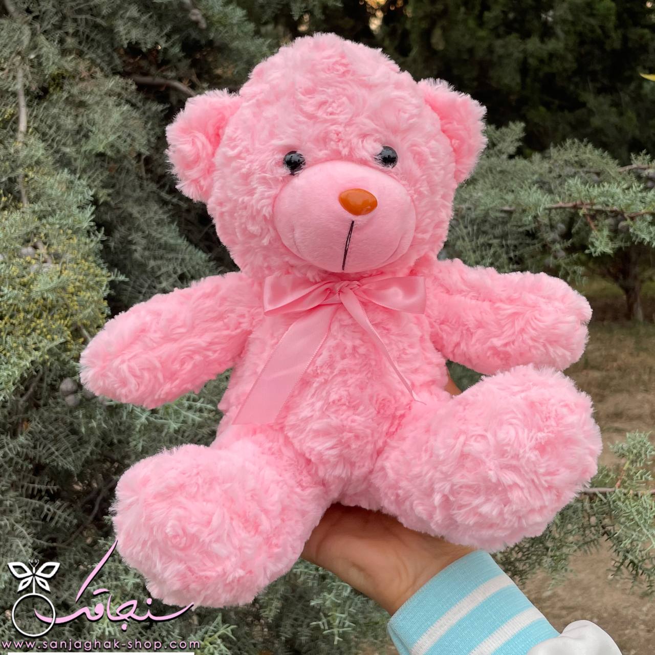 عروسک تِدی رنگی